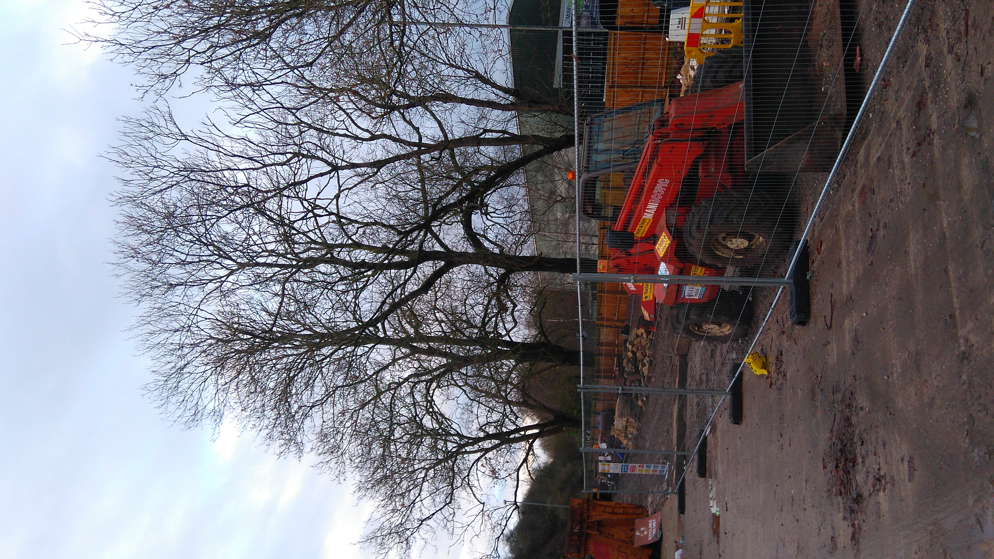 Tree pruning, Frodsham