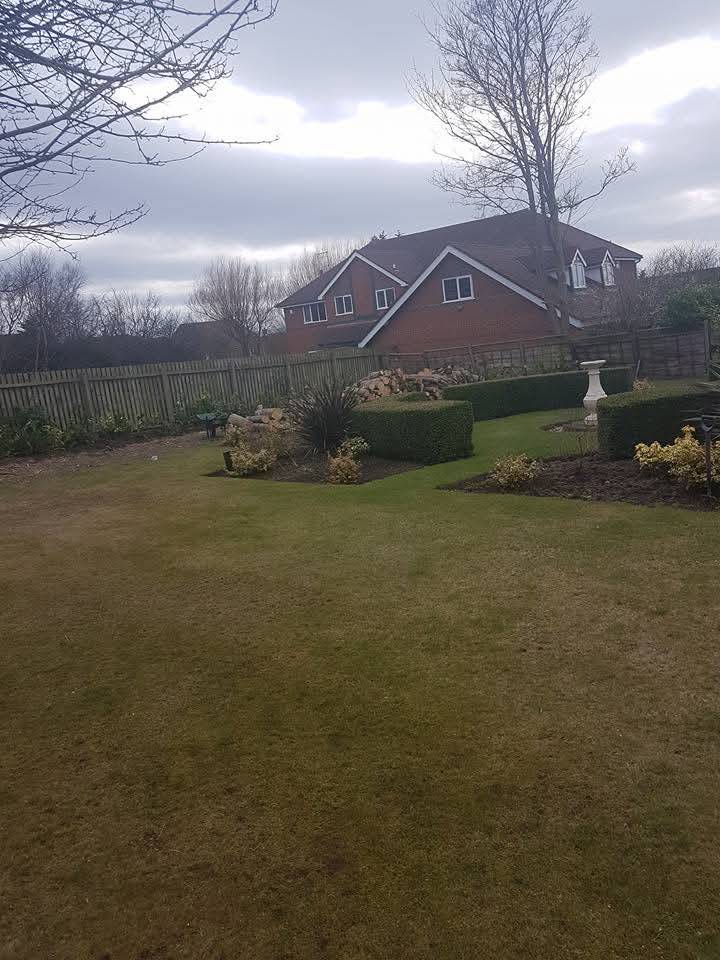 Hedge trimming services in Wirral