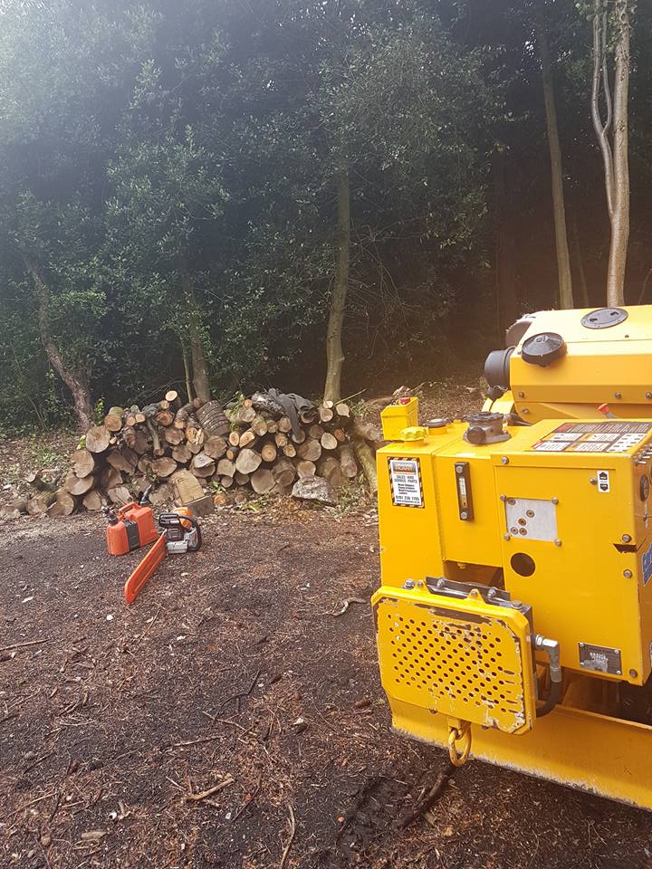 Tree surgeon site clearance in Wirral