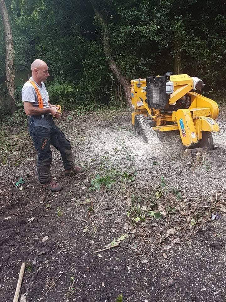 Tree stump removal in Wirral